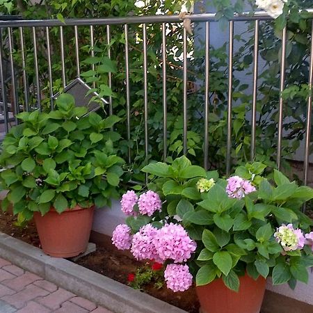 Apartments Strkalj بيبينيا المظهر الخارجي الصورة