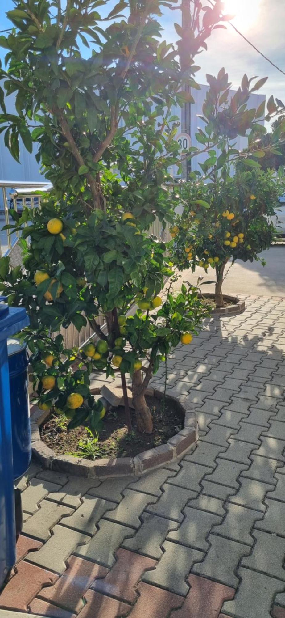 Apartments Strkalj بيبينيا المظهر الخارجي الصورة