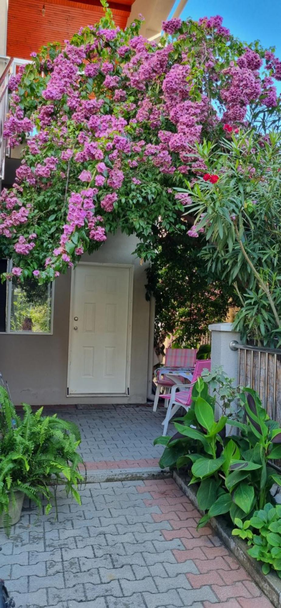 Apartments Strkalj بيبينيا المظهر الخارجي الصورة