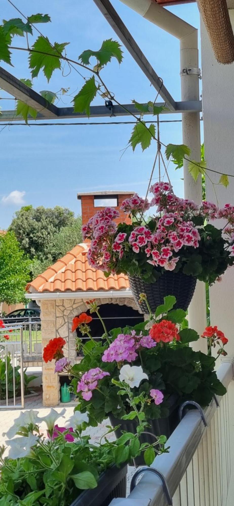Apartments Strkalj بيبينيا المظهر الخارجي الصورة